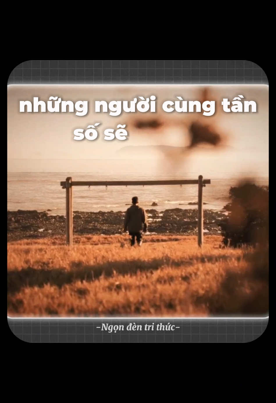 Người không cùng tần số sẽ không thể đi chung đường. #ngondentrithuc #phattrienbanthan #chualanh 