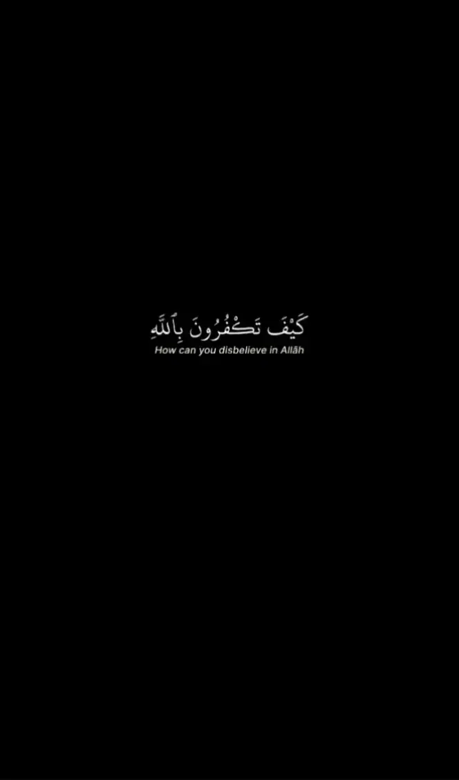 قران الكريم #قران #قران الكريم #قران #قران الكريم #قران #قران الكريم #قران_كريم #ارح_سمعك_بالقران_الكريم_أجر_لي_ولكم #اكسبلوررررررر 