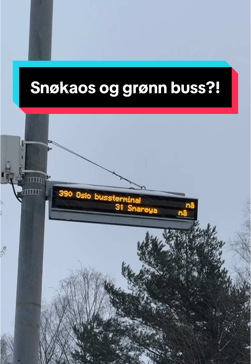 Rød buss til jeg dør❤️ #buss #kollektiv #snøkaos #storm #oslo #humor #tiktoknorge #nikolaimollan #viral 