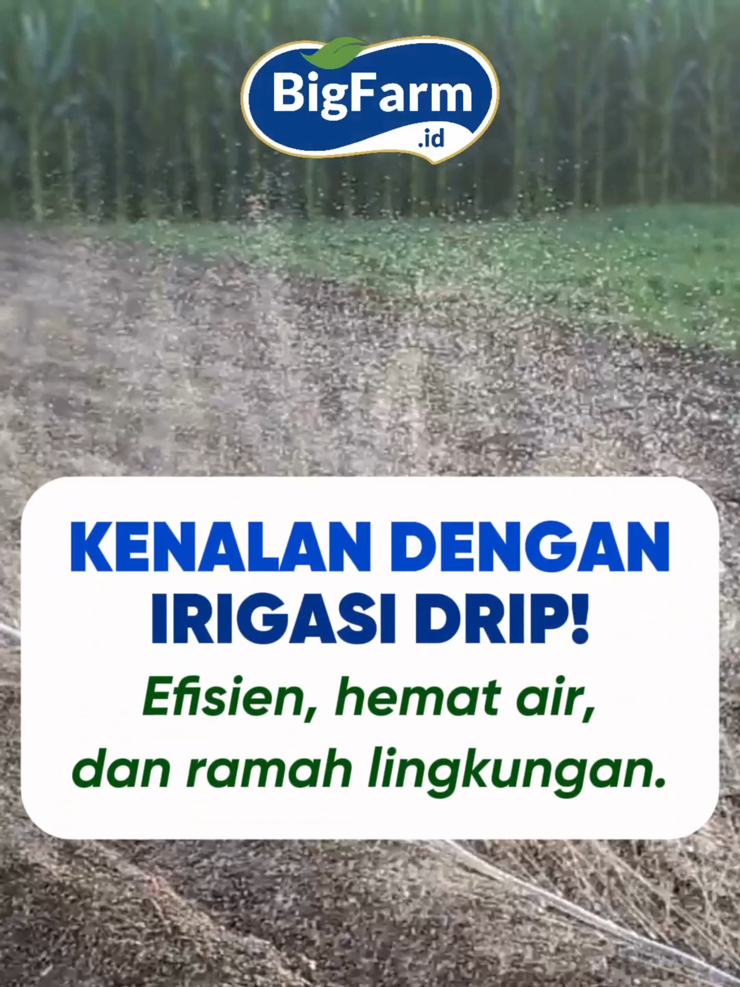 🌱💧 Kenalan dengan Irigasi Drip! 💧🌱 Efisien, hemat air, dan ramah lingkungan! 🌿 Irigasi drip adalah solusi cerdas untuk pertanian modern—mengalirkan air langsung ke akar tanaman, menghemat hingga 70% air, dan memastikan pertumbuhan optimal. 🌟 ✅ Mudah dipasang ✅ Ramah lingkungan ✅ Cocok untuk berbagai jenis lahan 💡 Sudahkah Kamu mencoba sistem irigasi drip di kebun atau lahanmu? Yuk, buat kebun Kamu lebih efisien dan produktif! #IrigasiDrip #HematAir #BerkebunModern #TipsBerkebun #PertanianCerdas #Bigfarm #TumbuhBersamaBigfarm