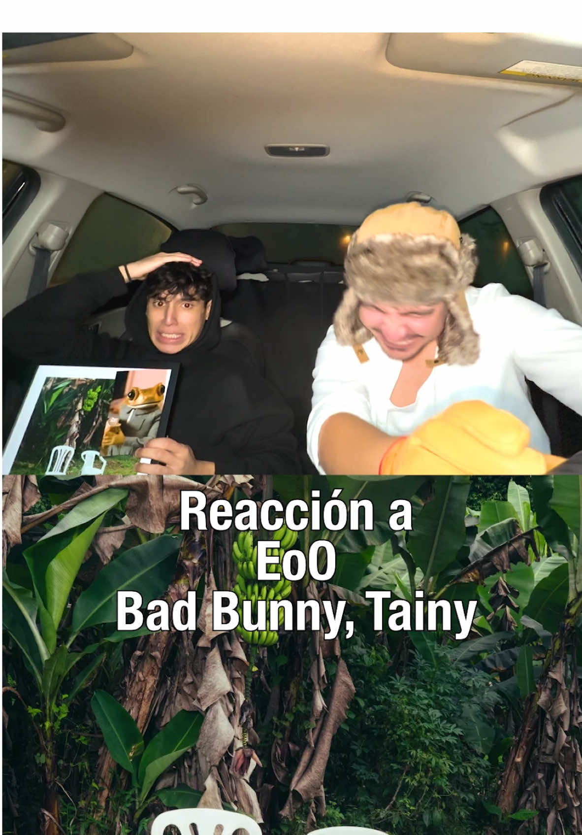 PUÑETAAAAA NO ME QUITEN EL PERREOOO EL MEJOR CON EL MEJOR @Tainy @Bad Bunny #parati #fyp #viral #reaccion #dtmf @Luis Daniel D'Alessandro 