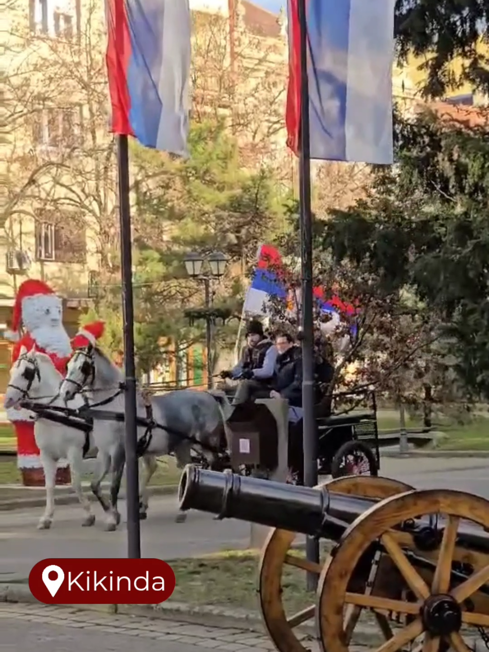 Gradonačelnik Kikinde sa kuglašicama unosi Badnjak u Gradsku kuću #kikinda #badnjak 