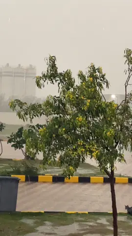 Heavy rain in makkah #barish #rain #makkah #whatsappstatus #growmyaccount #unfrezzmyaccount #foryou #fyp #trending #fyppppppppppppppppppppppp #fypシ 
