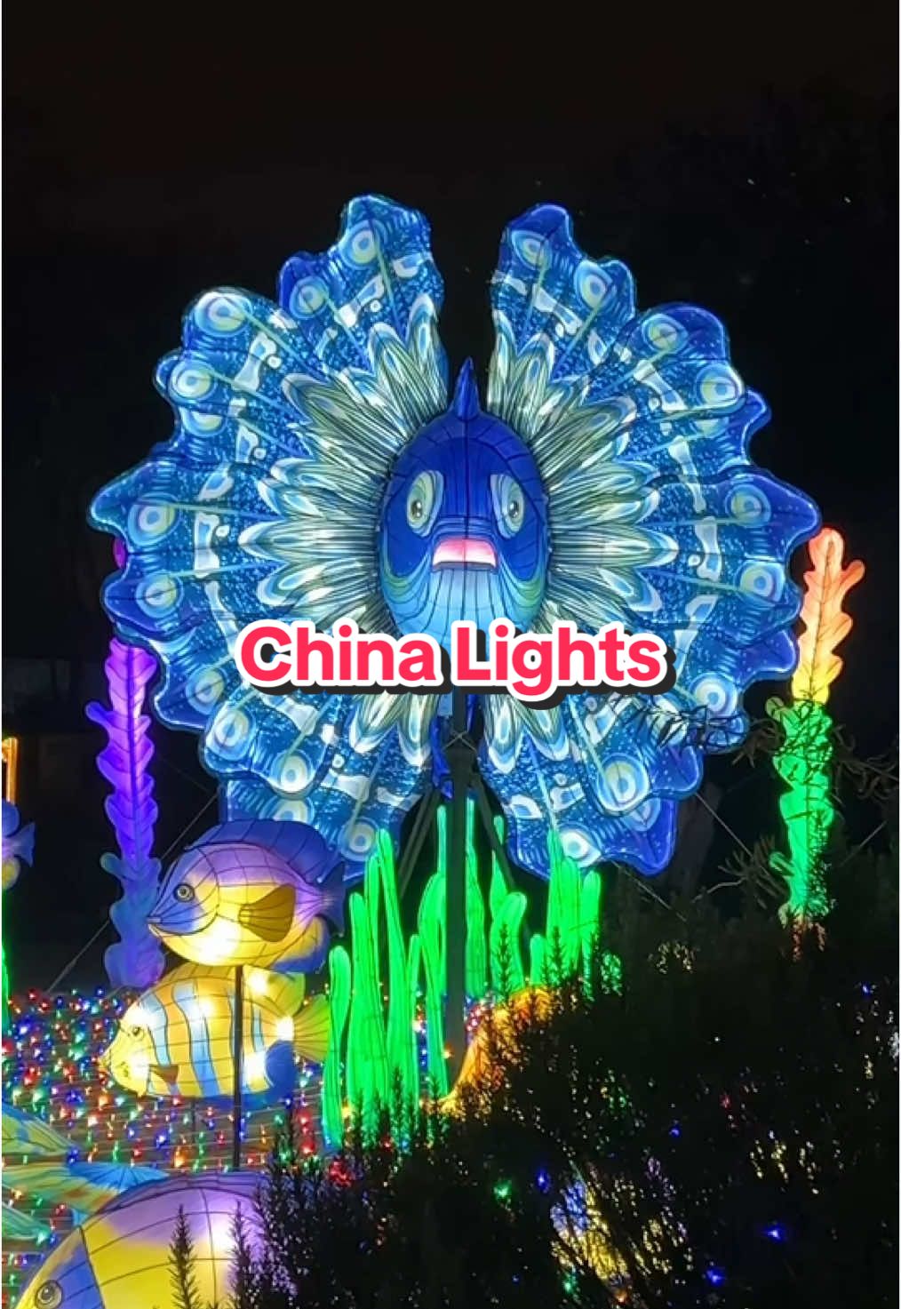 So schön erstrahlt der Kölner Zoo beim China Lights-Festival 😍 #köln #kölnerzoo #chinalights 