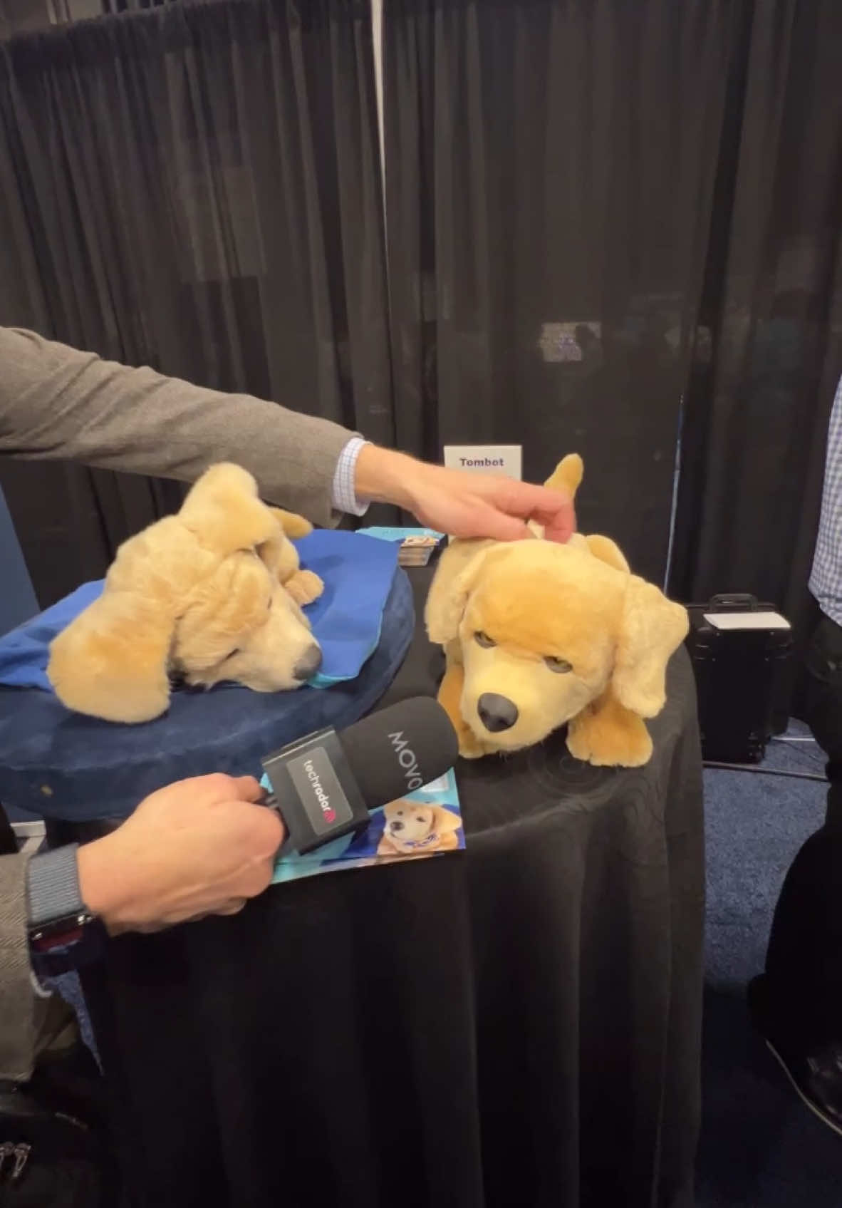 Tombot Jennie is the most adorable robot dog with a very important job. Also, we just want to hug her! #ces #ces2025 #cesunveiled #techtok #techradar #viral #consumerelectronics #handson #dog #robot #robotdog 