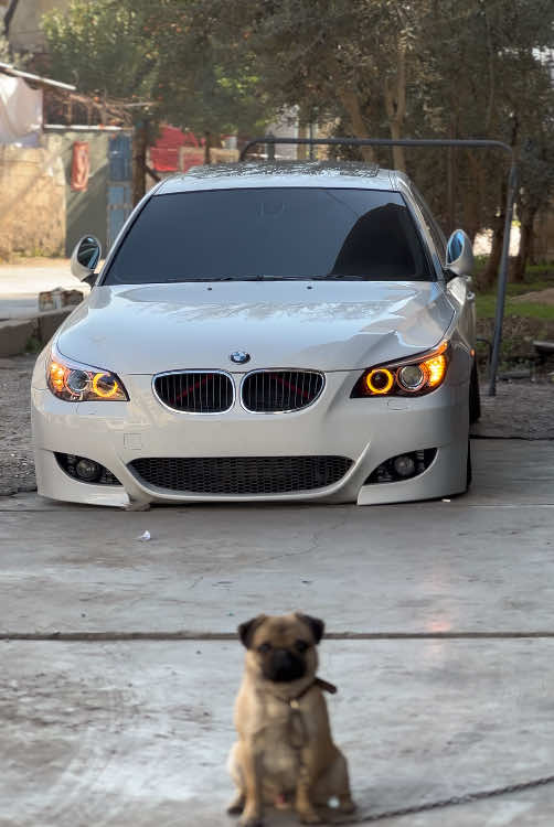 #eminsnmz05 #osmaniye #e60 #pug #köpek #e60m5 #bmwmotorsport #m5 #v10 #520 #530d #e39m5 #ankara #06 