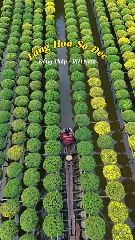 Làng hoa Sa Đéc rực rỡ sẵn sàng đón sắc xuân #traveltiktok #travel #langhoasadec #sadec #dongthap #phutlela 