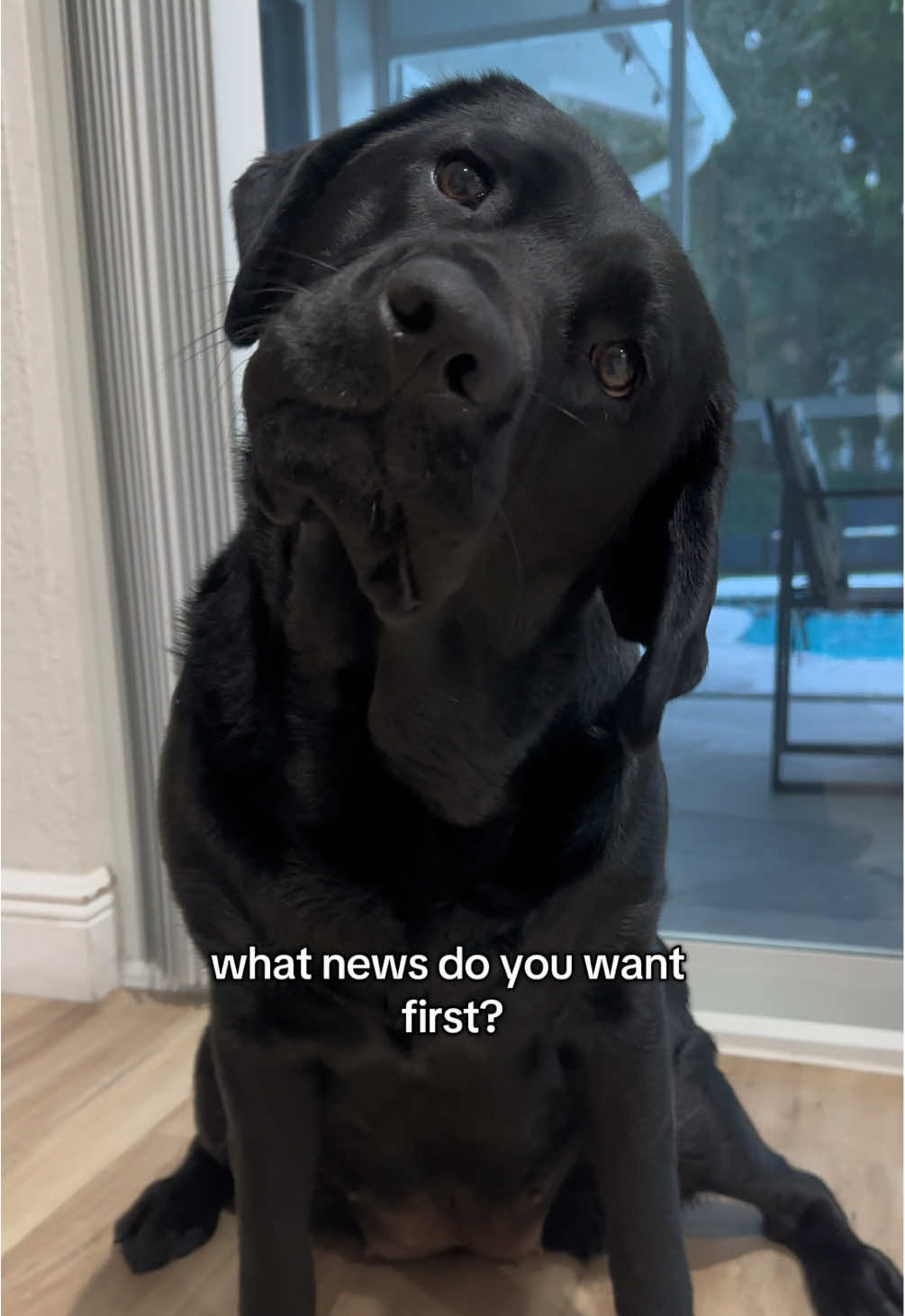 the way she hugged me after she realized 🥹🥹 #Puppy #labradorretriever #BlackLabLove #LabradorLife #PuppyPlaytime #LabradorLovers #BlackLabrador #PuppyJoy #LabradorPuppy #PuppyCuteness #LabradorNation #PuppyHugs #LabradorAdventure #PuppyPaws #LabradorFam #PuppyTailWag #BlackFurBuddies #labpuppy #laboftheday #labs_of_insta #dogtok #dogsoftiktok #dogs #dog 