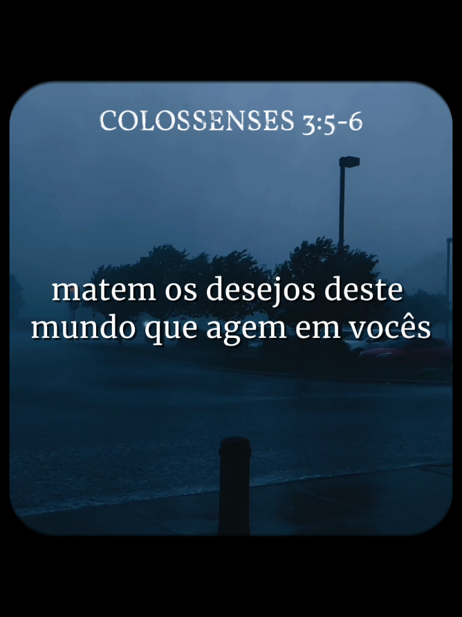 Compartilhe o evangelho ✝️🤍 #versiculosbiblicos #mensagemdedeus #vaiprafy #vaiprofy #fy #fyp #Jesus #Deus 