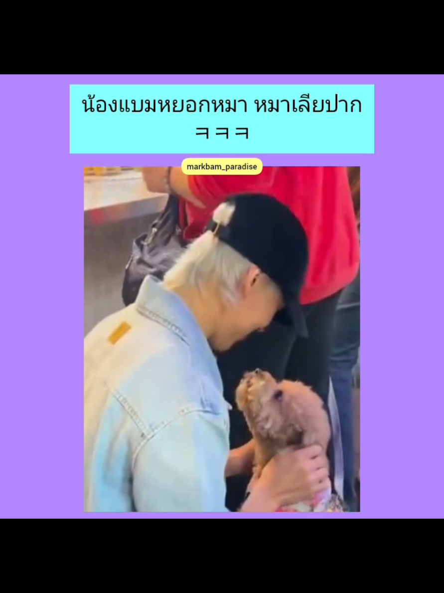 อันนี้คลิปตอนไปไทเป น้องแบมเล่นกับน้องหมา ที่TPE Raohe Night market Cr. Xx_amy_xx_j #GOT7 #bambam #IGOT7 #แบมแบม #bambamgot7 #bambam1a #แบมแบมgot7 #뱀뱀 #갓세븐 