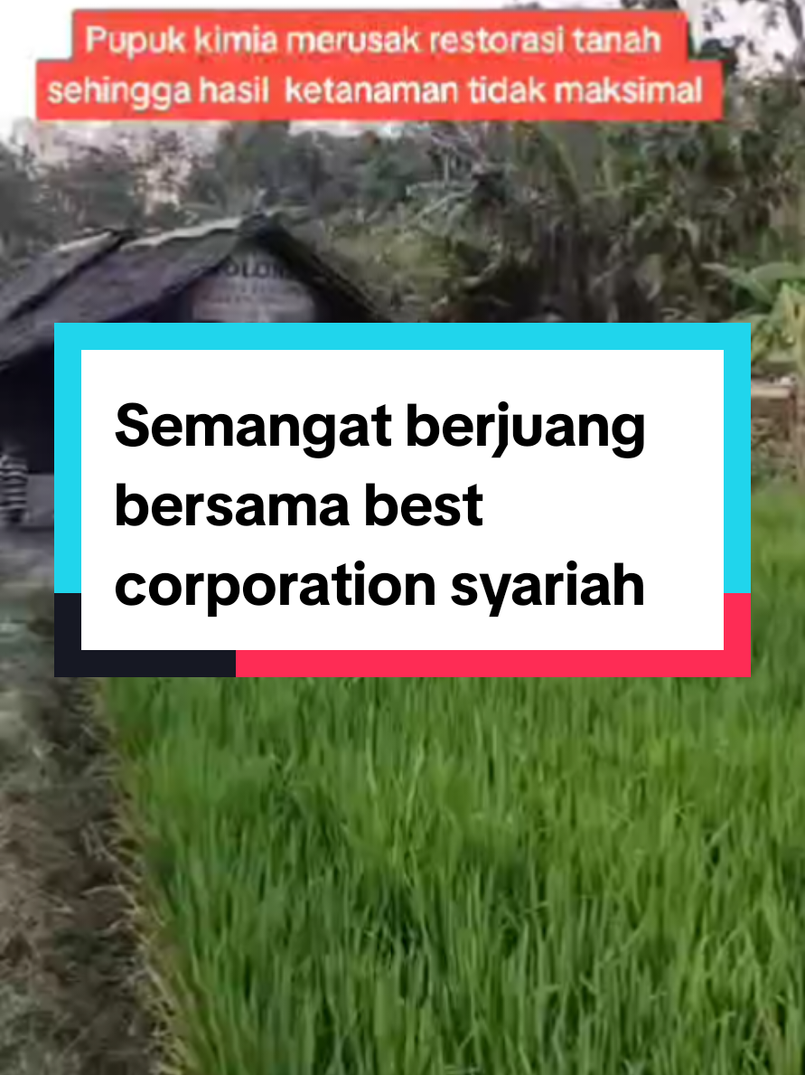 Semangat berjuang bersama best corporation syariah #irwanhaudhy #fypツviral #pupukorganik #ecofarming #fyp 