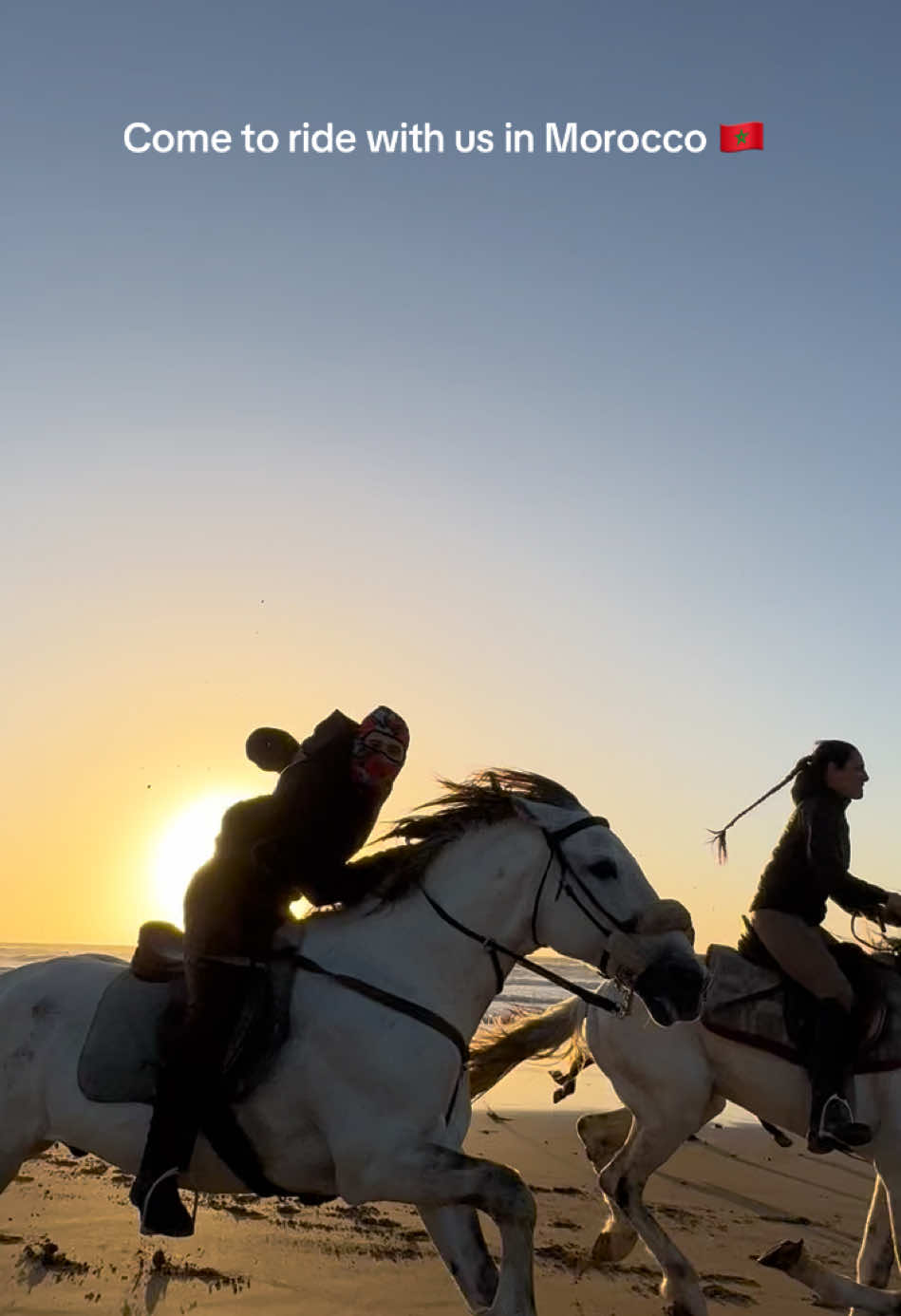 Who wants to ride with us? #horse #horses #horsesofinstagram #equestrian #horseriding #equine #pony #pferd #equestrianlife #horselove #dressage #horselover