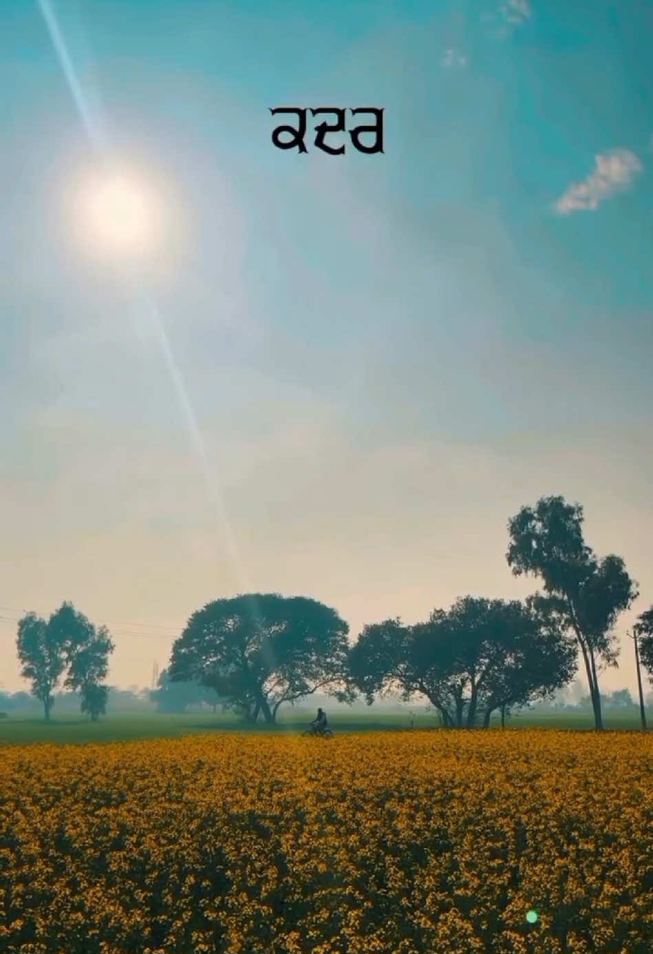 ਕਦਰ💯🕊️ #reels #punjab #punjabisongs #punjabistatus #kadar #respect #reality #truth #feed #virlvideo #pind #village #fyp 