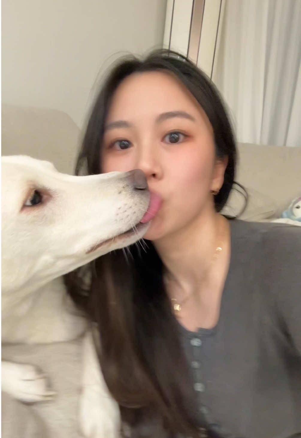 뽀뽀하다 혀깨물기😝 #댕댕이 #일상 #dog #dogkiss #doglover💕🦮 #뽀뽀 #dogsoftiktok 