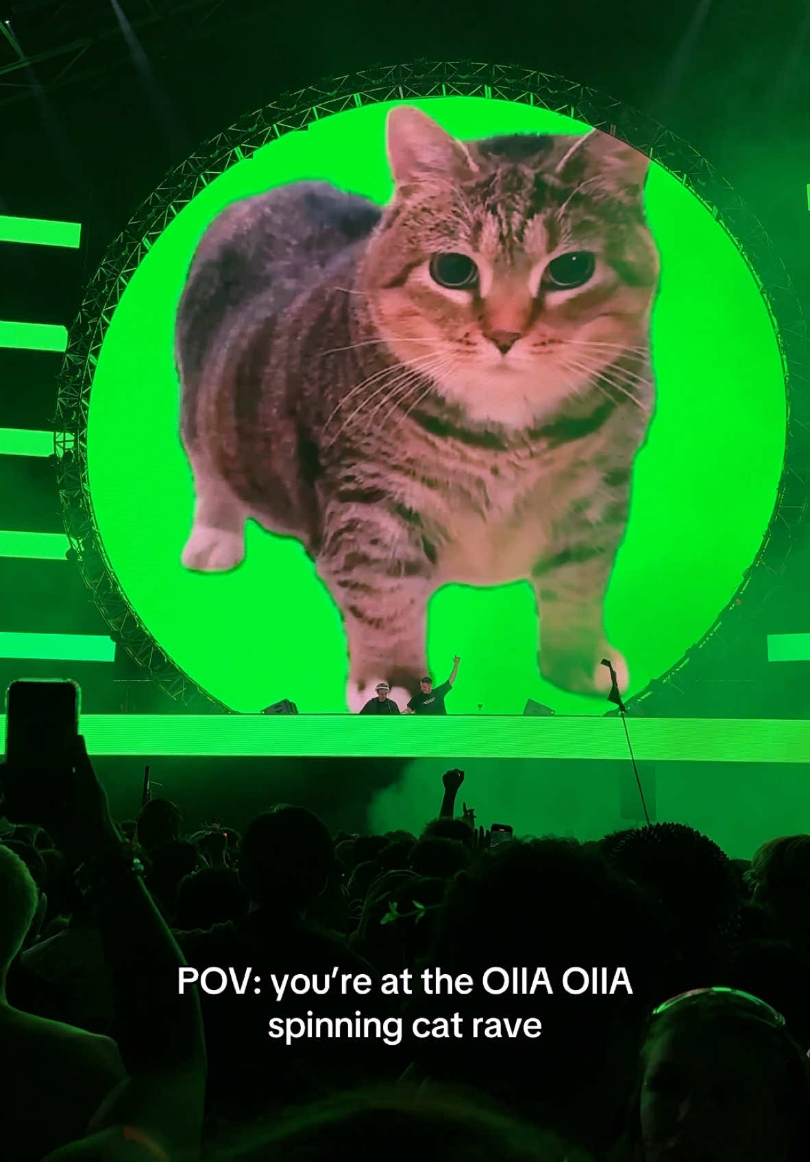 Ethel made it to the rave 🥹 @Ethel the OIIA Cat #festival #electronicmusic #oiiaiiooiiai #wandw #wandwmusic 