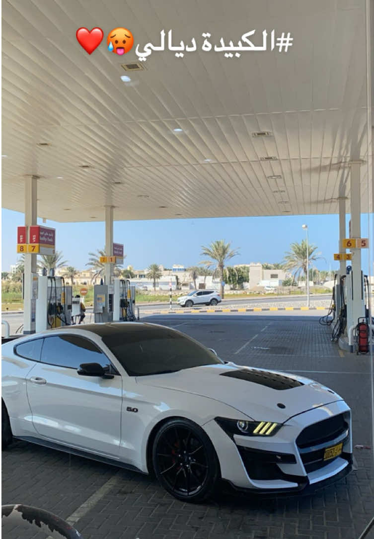 #mustang #explore #السيب #معبيلة #الخوض #مسقط #الخوير #بوشر 