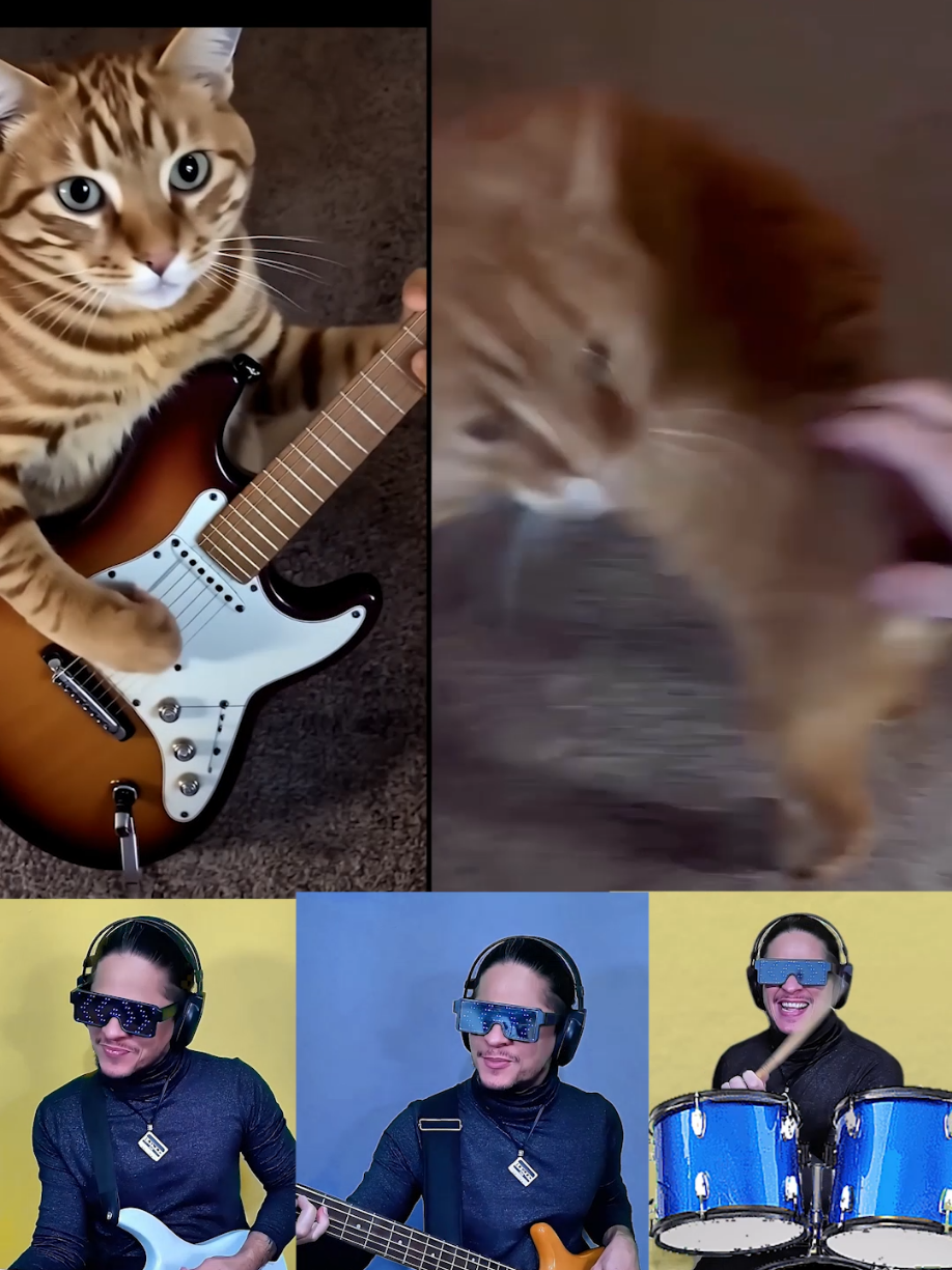 Cat song, cat remix 😸🎸 #cats #gatostiktok #catsong #catmusic #atilakw #remix