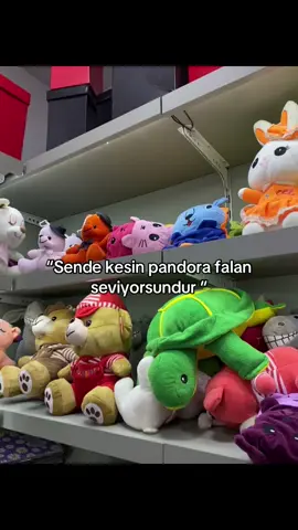 Peluş oyuncaklarr🥹🫶🏻🧸