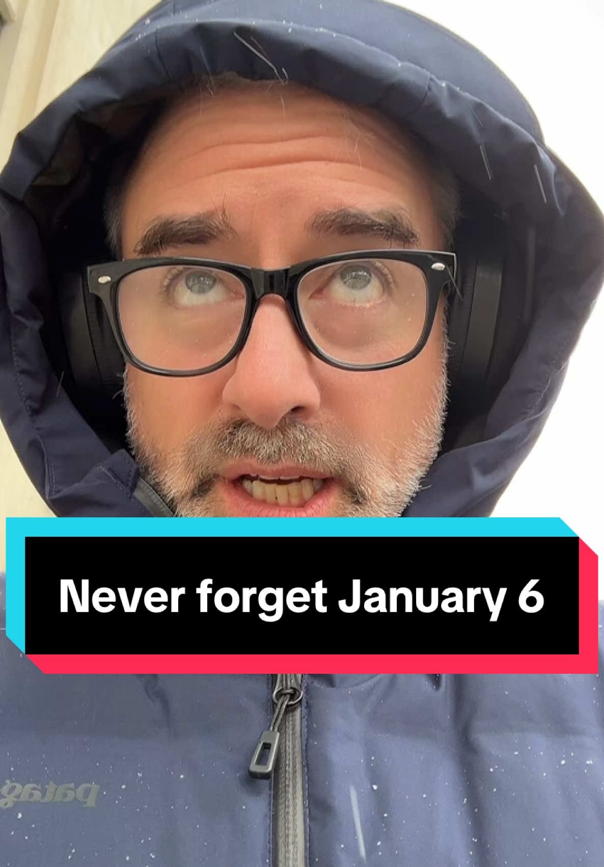 Jan 6 was an armed insurrection. #jan6 #january6 #politics #politicalnews #voteblue 