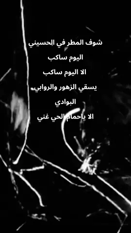 #حليمه_فرحان #فيصل_علوي #fyp 