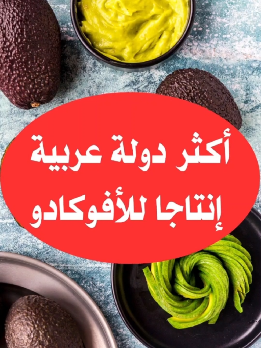 أكثر دولة عربية إنتاجا للأفوكادو