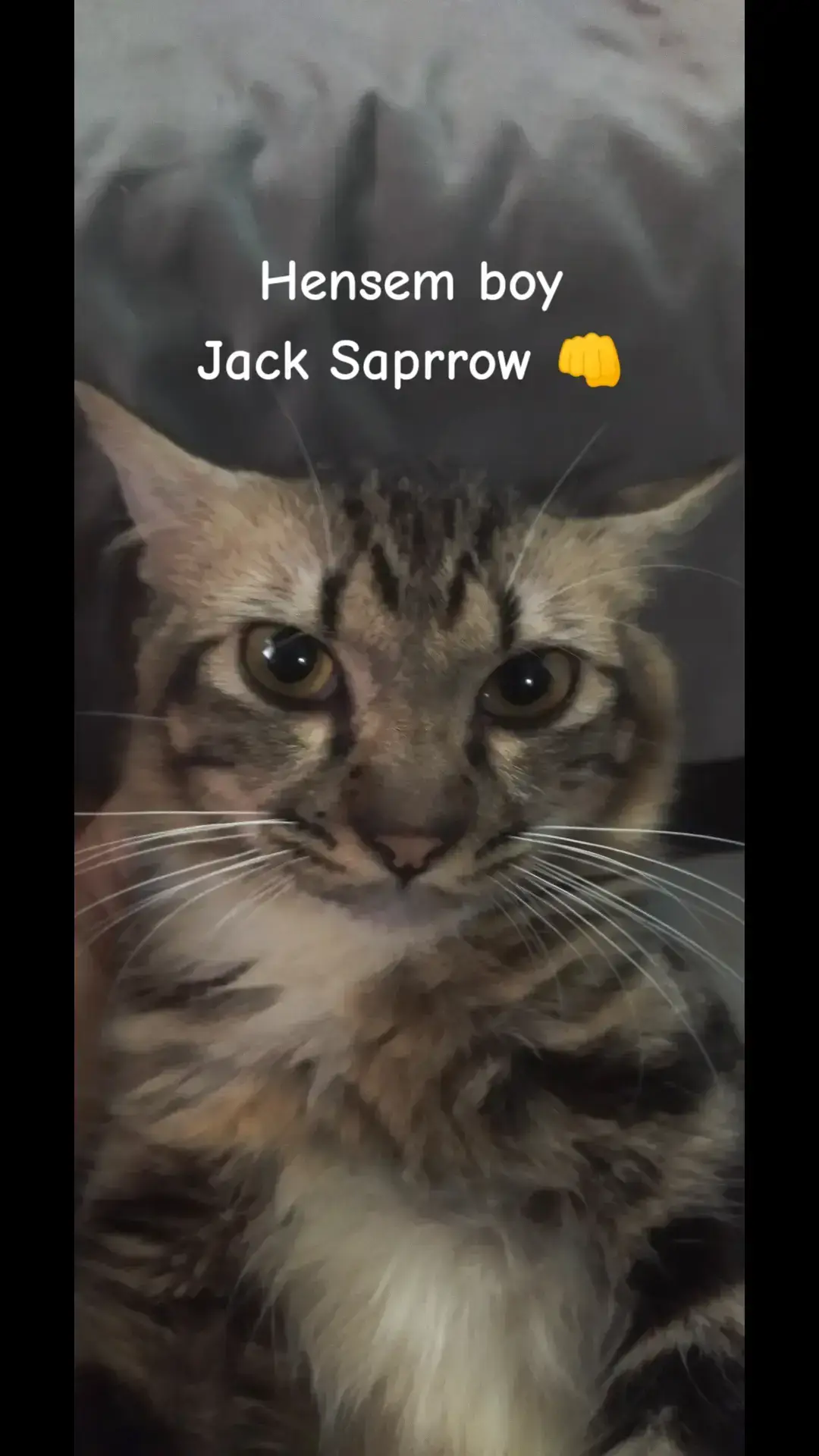 Hensem boy Kesayangan❤️❤️ Jack Saprrow 