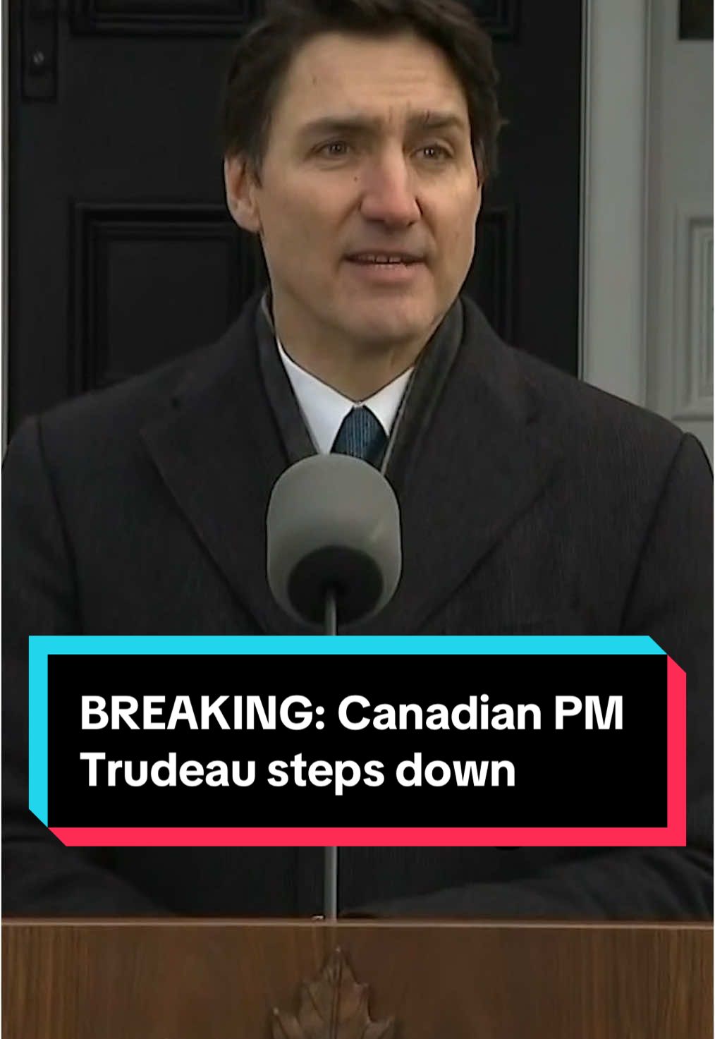 Canadian Prime Minister Justin Trudeau announced he will resign as the leader of Canada's ruling Liberal Party once a successor is elected. The departure of the beleaguered prime minister follows growing calls for his resignation from inside his own party, with the Liberals lagging behind the opposition Conservative Party in opinion polls and internal battles raging over his handling of President-elect Donald Trump. #canada #trudeau #worldnews #politics #news