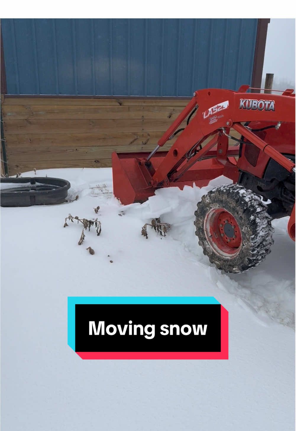 Moving snow so the donkeys can get out! #farmlife #winter #snowstorm #minidonkeysoftiktok #winterstormblair 