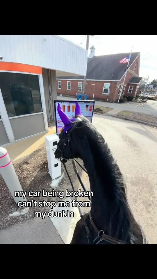 she even stuck her head through the window for a donut… @Dunkin' #dunkin #fyp #dunkindonuts