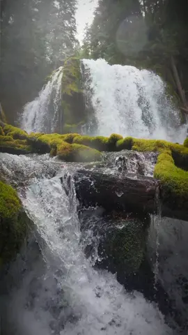 Ascending along the flowing waters to reveal a majestic waterfall surrounded by a lush, moss-covered forest—a scene straight out of a dream 😍 #nature #Outdoors #cinematic #calm #waterfall 