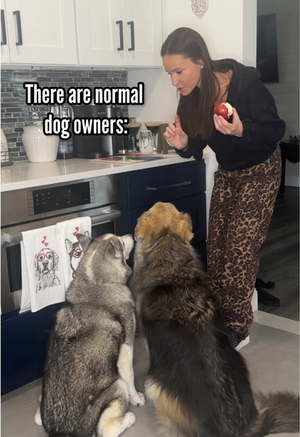 Do you even love your dog if you don’t feed them from your mouth? #dogs #dogmom #funnydogs #huskies #fyp 