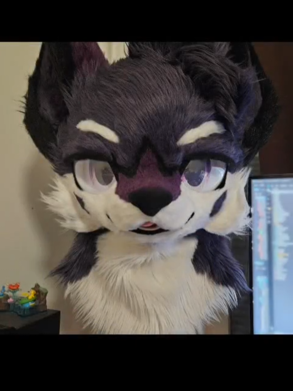#furry #fyp ##foryou #fursuit #kemono #codzombies