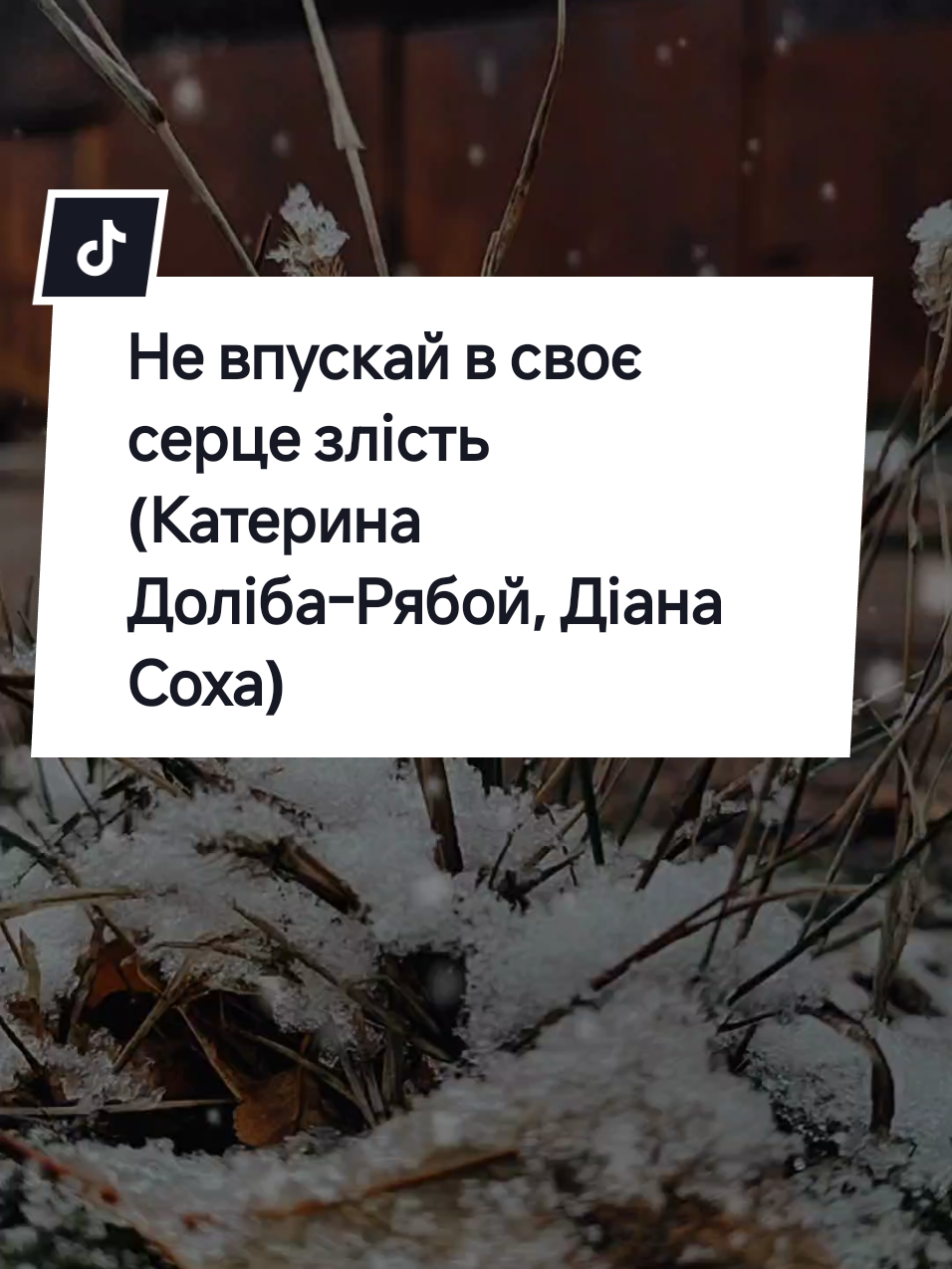 Не впускай в своє серце злість (Катерина Доліба-Рябой, Діана Соха) #музикаукраїнською #українськіпісні #життя_як_воно_є #пісніукраїнською #українськамузика 