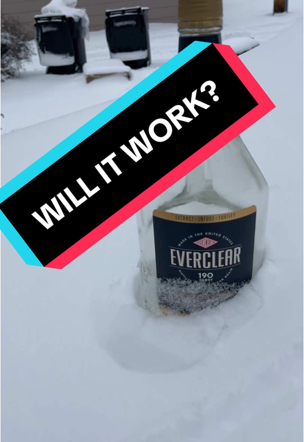 Screw it. Everclear #everclear 