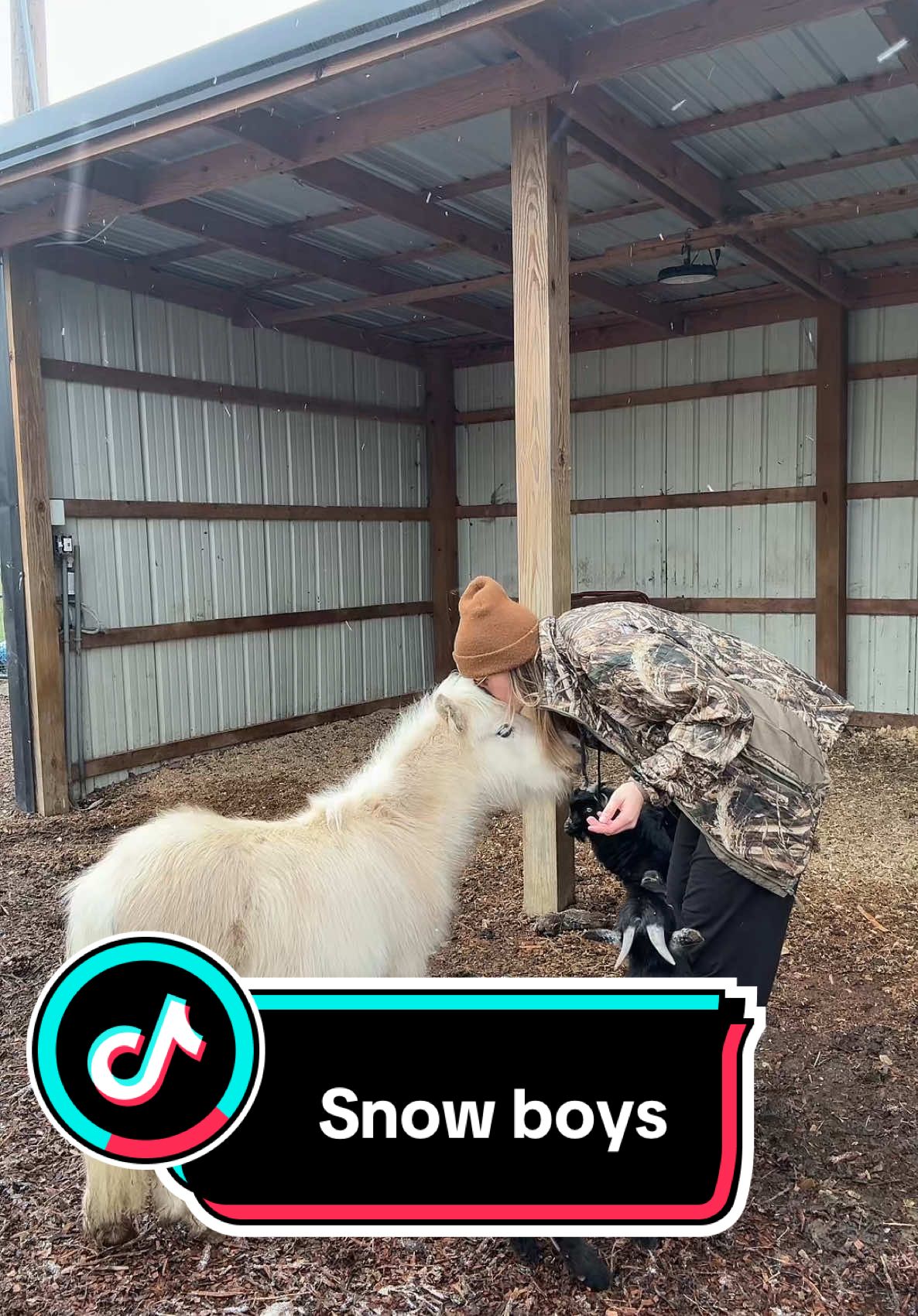 First snow of the year! #minihorse #horse #farm #farmlife