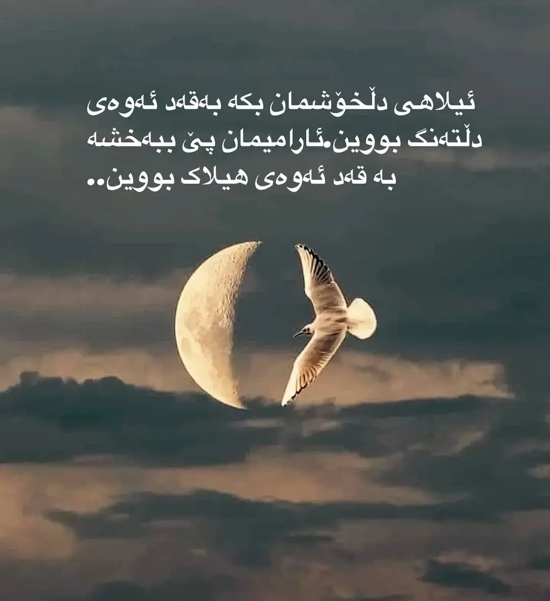 #هەولێر_سلێمانی_دهۆك_ڕانیه_کەرکوک_زاخۆ #شارباژێڕەکەم #tiktok 