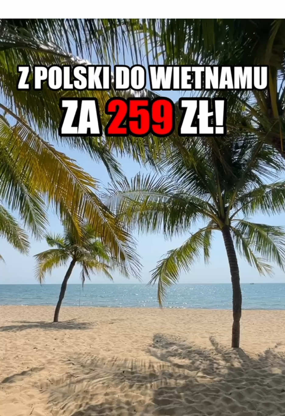 🏝️Polecam polecieć i zobaczyć nie tylko Wietnam, ale i Tajlandię, Filipiny, Indonezję, a nawet Japonię! Za tę cenę warto! Koniecznie zaobserwuj, bo na pewno będę wstawiał tę okazję jak tylko się pojawi! 😜 Wrócić możemy na 3 sposoby 1 sposób: jest wiele lotów na kwiecień i maj linią Air Arabia z Kuala Lumpur do Warszawy  2 sposób: Lot do Oslo z Bangkoku w kwietniu 3 sposób: składaki np. (ja tak leciałem) Z Kuala Lumpur na Malediwy z Malediw do Dubaju, potem do Aten i z Aten do WWA.  ✈️Jeżeli chcesz żebym Ci znalazł tani lot napisz „LOT”