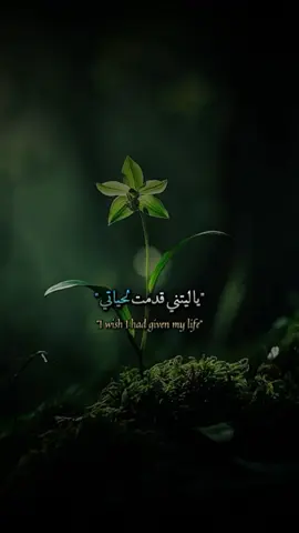 يا ليتني قدمت لحياتي. . . . . .  #اقتباسات #اقوال #عبارات #كلمات 