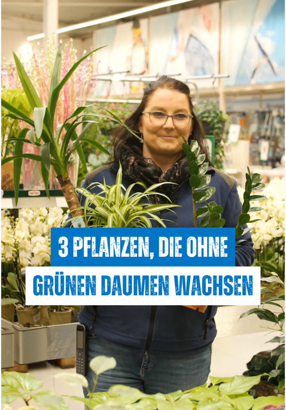 3 pflegeleichte Pflanzen, die sogar ohne grünen Daumen wachsen! Optimierter Text: 1️⃣ Yucca Palme: Sie ist perfekt für dunkle Räume, verträgt aber auch viel Sonne. Beim Gießen mag sie kalkhaltiges Wasser – aber Vorsicht: weniger ist mehr! Mit guter Pflege kann sie bis zu 5 Meter groß werden. 2️⃣ Grünlilie: Diese luftreinigende Pflanze ist robust und unkompliziert. Sie liebt einen hellen Standort, aber keine direkte Sonne. Gieße sie regelmäßig, aber vermeide Staunässe. 3️⃣ Glücksfeder: Sie mag es hell und warm, aber ohne direkte Sonneneinstrahlung. Gieße sie nur wenig bis mäßig und lass die Erde zwischen den Gießvorgängen ruhig antrocknen. Egal, ob Anfänger oder Pflanzenprofi – mit diesen drei Pflanzen bringst du ganz leicht Grün in dein Zuhause 😎 #pflanzenliebe #grünerdaumen #einfachepflanzen #profiwesch #mühlhausen #badlangensalza 