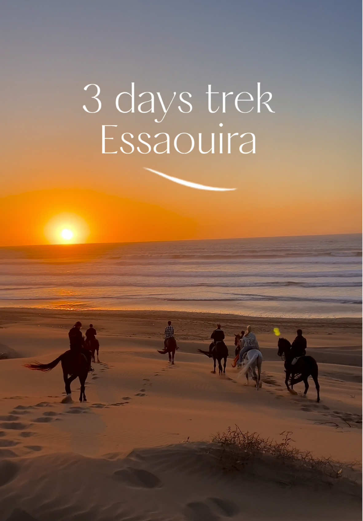 ‼️GROUP TRIP TO ESSAOUIRA‼️ -  If this is your vibe… this is the trip for you!  - Escape to Essaouira this April 11-13 for an unforgettable adventure💫🐴 DM for full program & reservations 💌 — Collaboration with @Cheval Essaouira🤠  #horseriding #grouptrip #morocco #horseholiday #grouptravel 