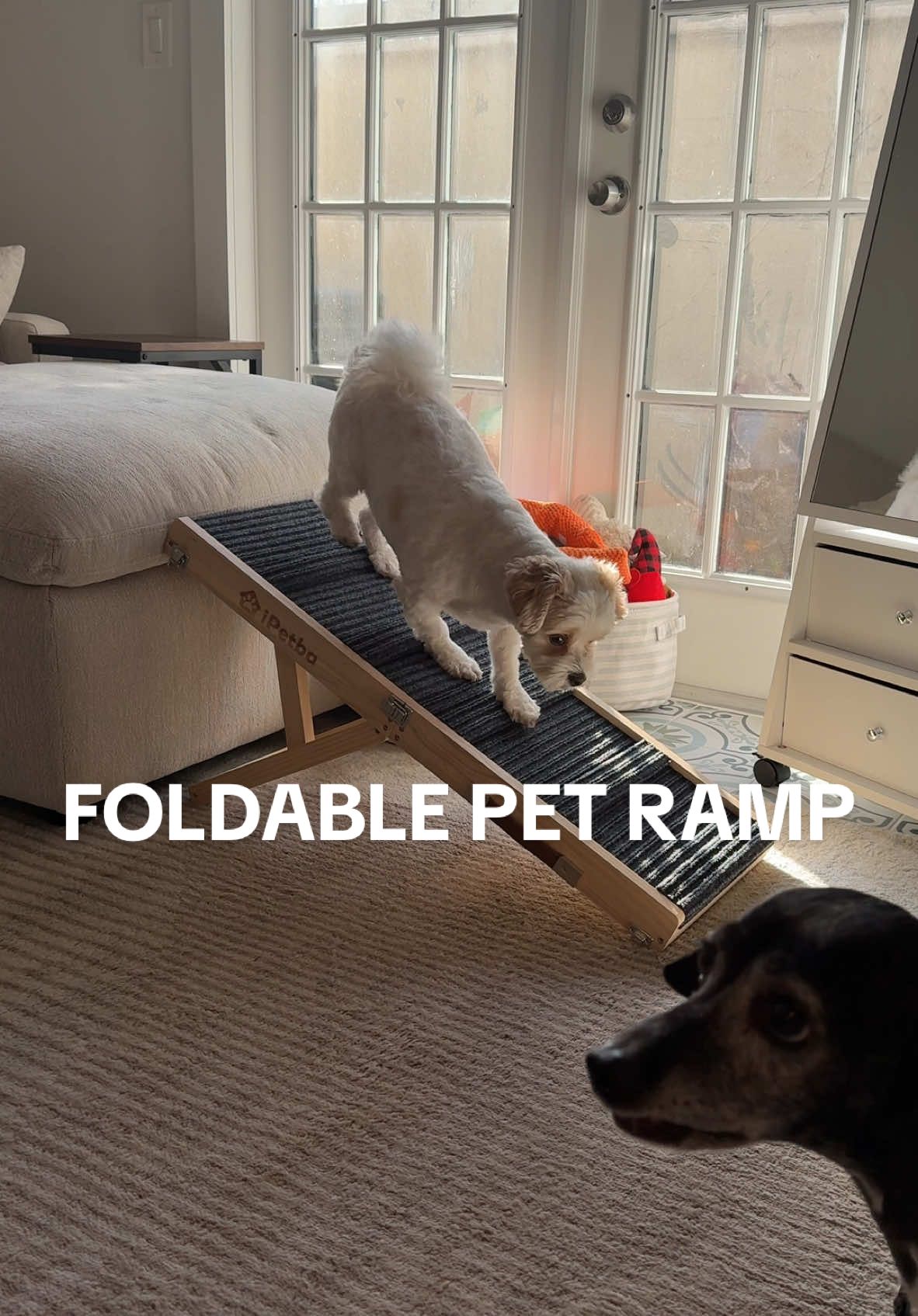 @iPetba’s foldable pet ramp is perfect for your senior dogs 🥰 #ipetba #dogsoftiktok #petlover #doglover #dogmom #rescuedog #TTSTakeOver #NewYearFinds #TiktokShopJumpstart #TTSTasteMakers #NewYearNewAura #MadeMyYear #MySuperMoments #TikTokShopNewYearNewAura #TikTokShopLastChance #TikTokShopYearEndSale #Spotlightfinds 
