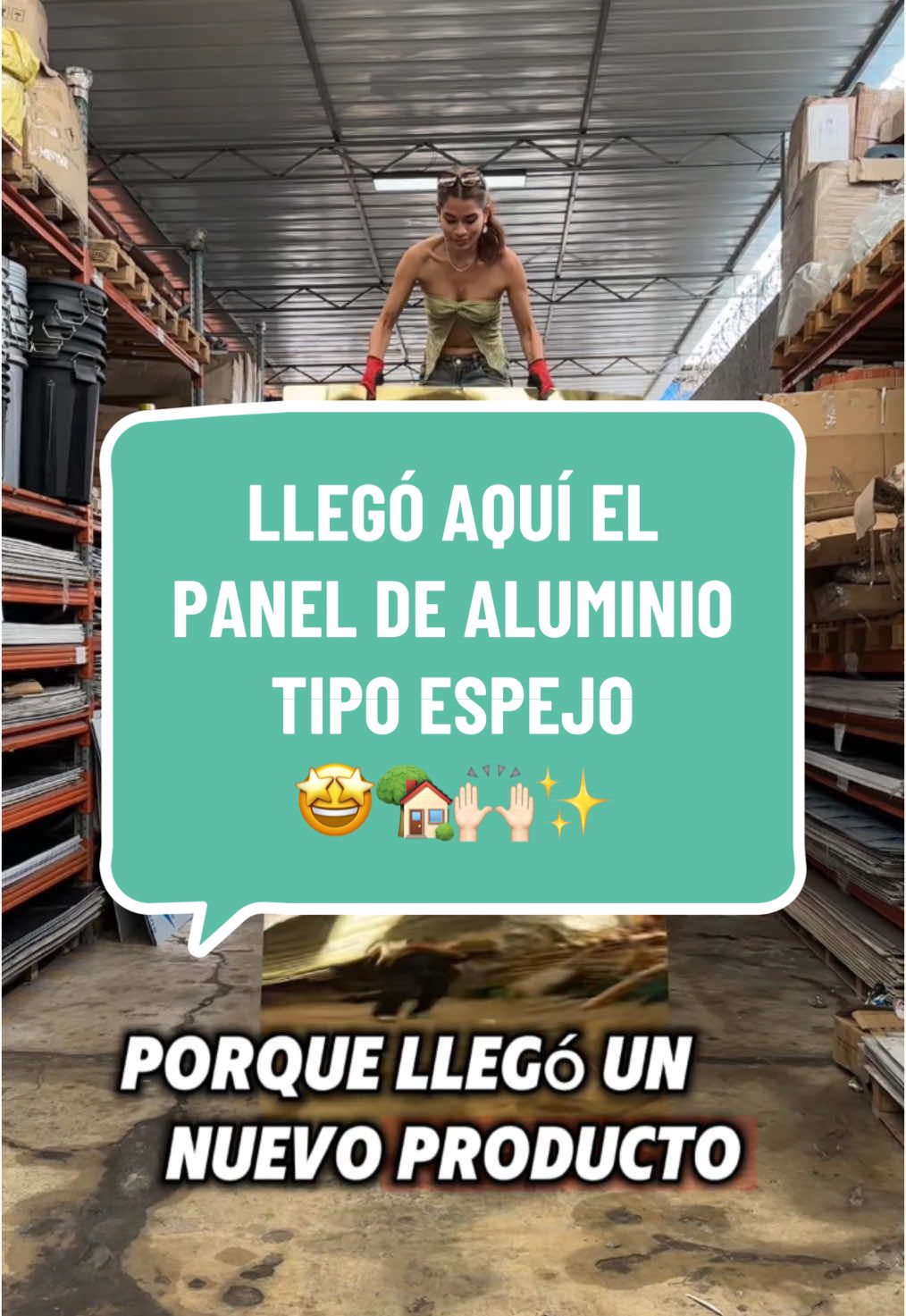 ¡Ideal para decorar paredes, techos o cualquier espacio! con ustedes el PANEL DE ALUMINIO TIPO ESPEJO 🤩🏡🙌🏻 pídelo en el link del perfil #PanelDeAluminio #Espejo #Decoracion #DisenoModern