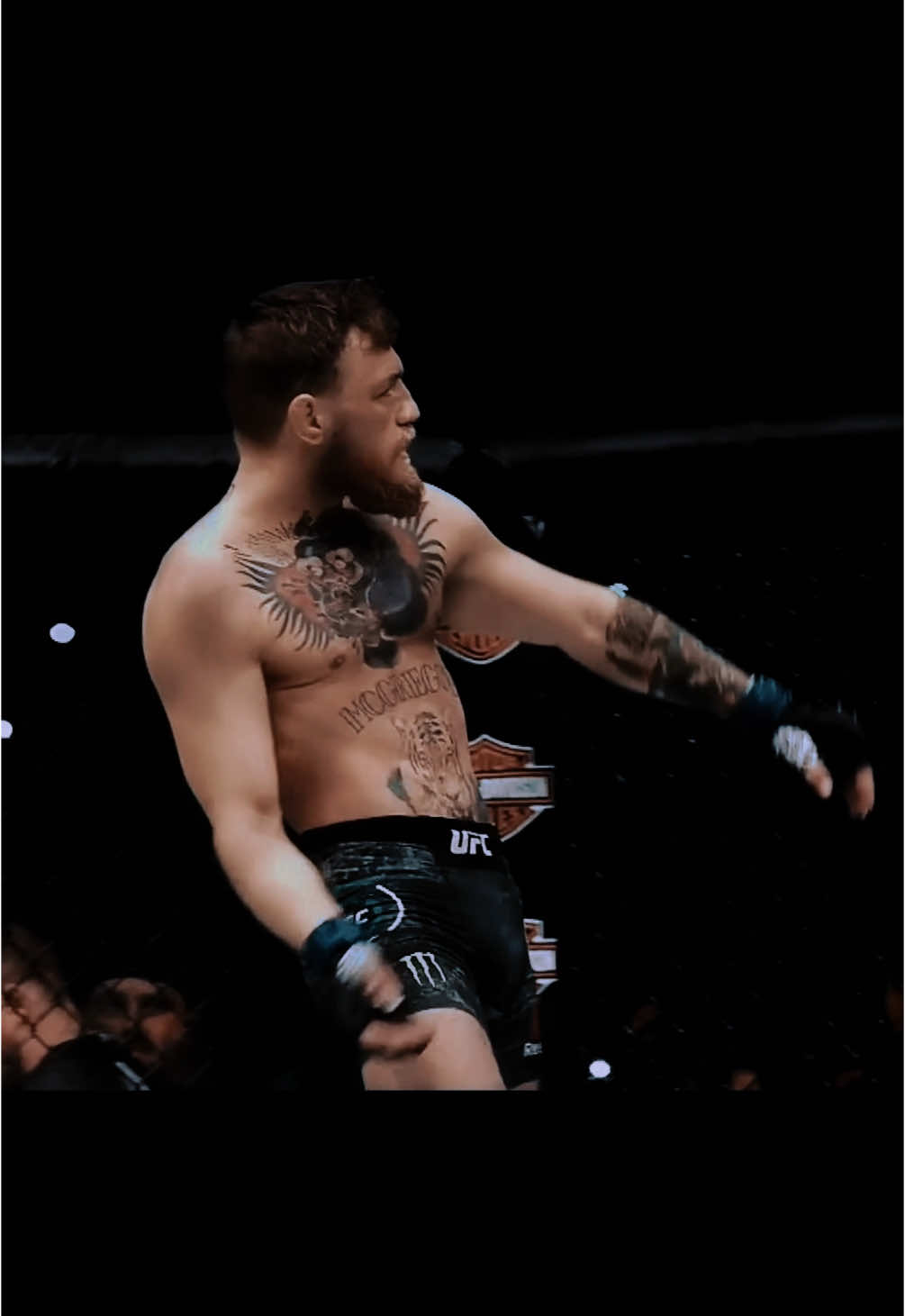 noodle arms mcgregor🦍 || #conormcgregor #mcgregor #mcgregor🍀🇮🇪 #ireland #UFC #ufcedit #mma #fyp #viraltiktok #blessed 