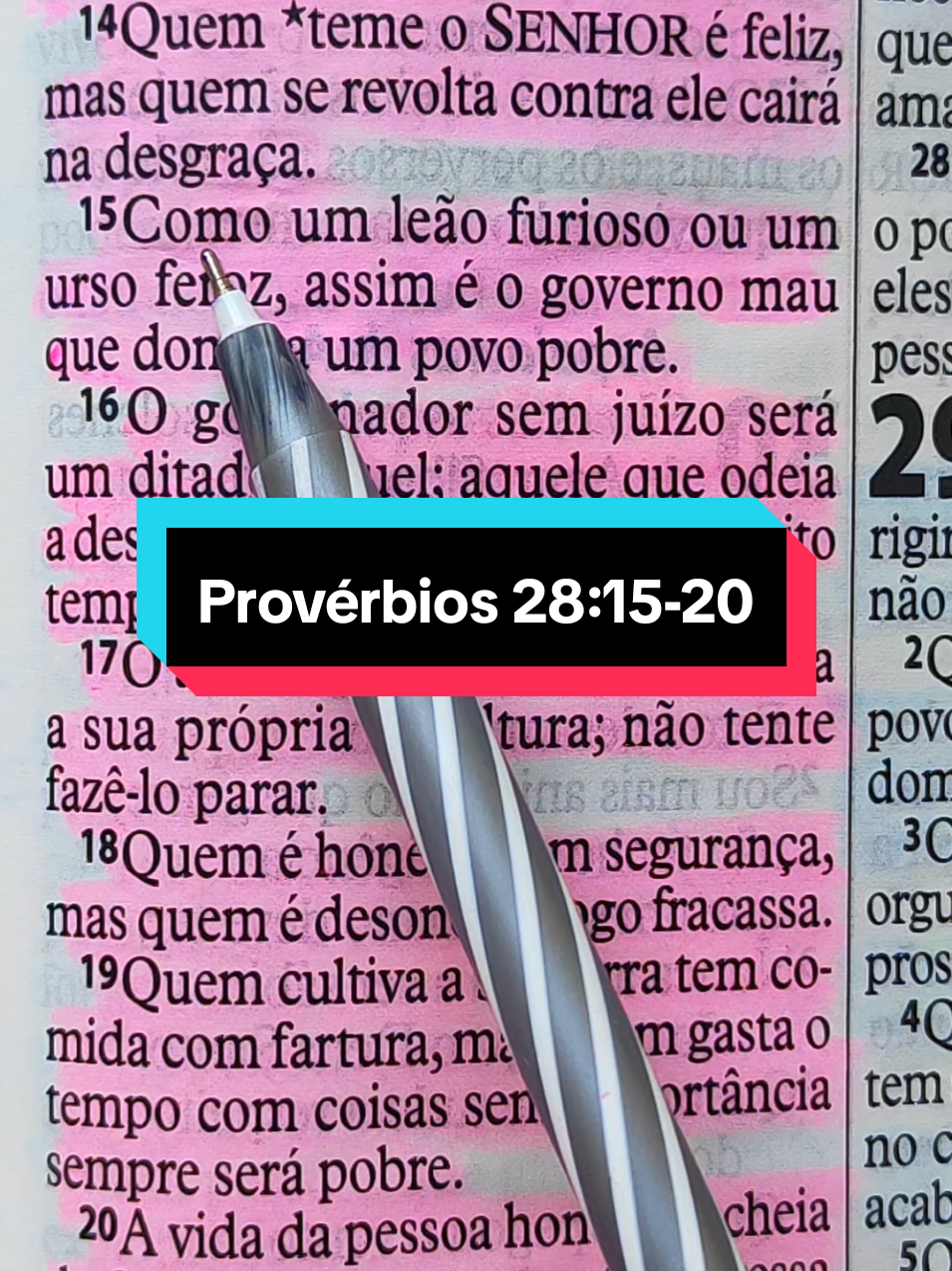 Provérbios 28:15-20 #biblia #Deus #versiculosblibicos #versiculododia #fycristao #palavradeDeus #lendoabiblia #cristão #cristoviveemmim #proverbios 