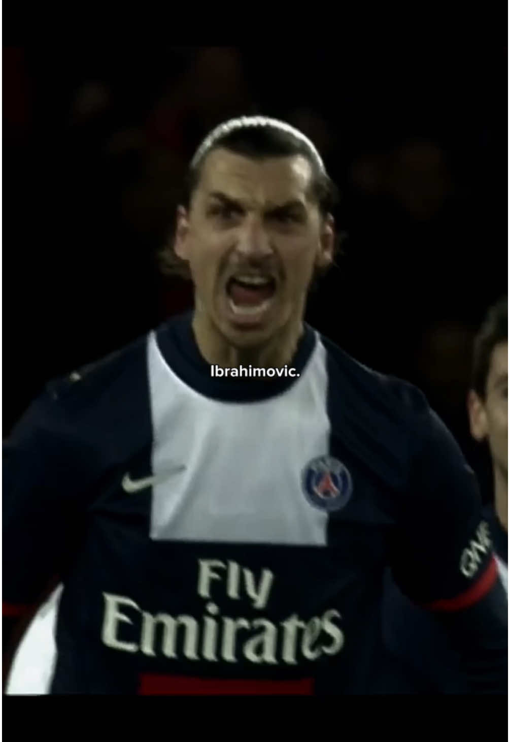 Zlatans goal catalogue is crazy. #footballedit #Soccer #foryoup #foryoupagе #ibrahimovic #goviral 