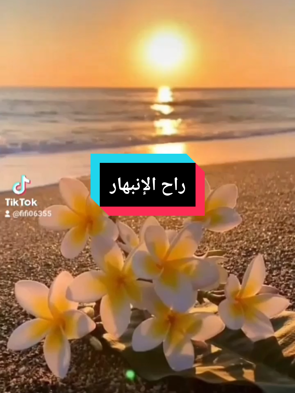 #راح الانبهار و مرجعتش اشوفك زي زمان#زال السحر خلاص#ستوريات #foryoupage #tik_tok #fifi06 #حب #viral #vu 