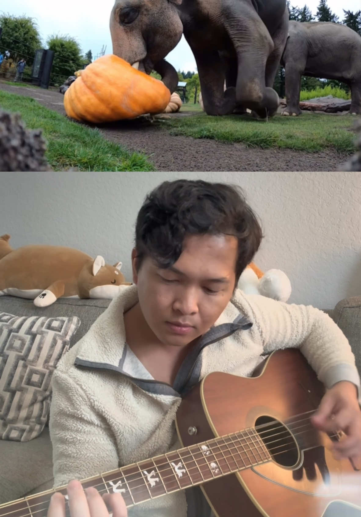 those pumpkins are huge lol #1979 #smashingpumpkins #guitartok #guitarcover #fyp 