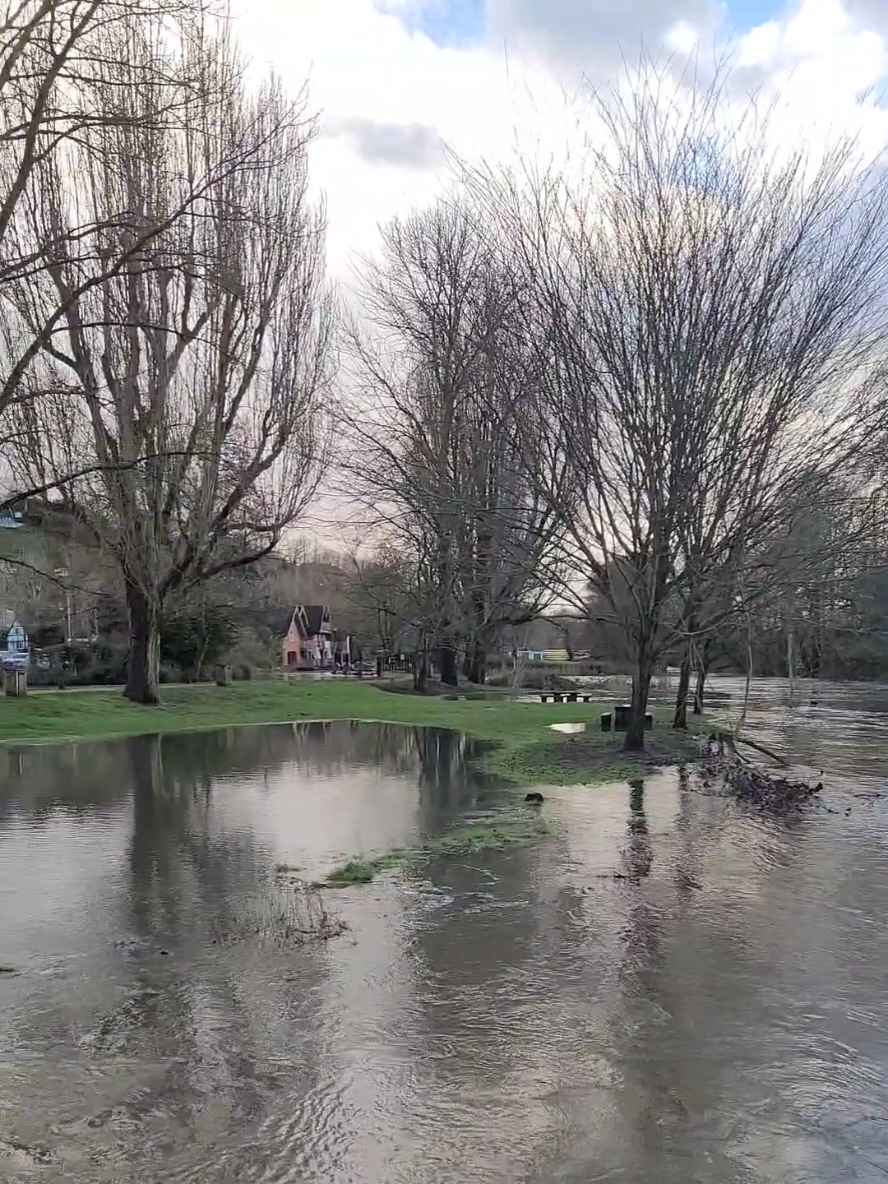Crazy floods today just 30 minutes outside of Central London - featuring some donkeys at the end! 🫏  #London #LDN #LondonBeautifulLife #GlobalBeautifulLife #City #Town #Guildford #Gford #Floods #Surrey #GuildfordSurrey #England #UK #UnitedKingdom #Countryside 