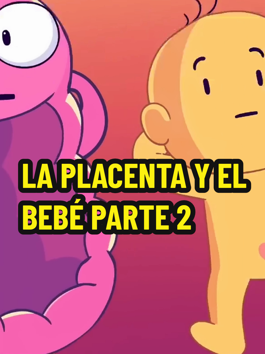 anatomía cuerpo humano la placenta y el bebé parte2 #anatomia #anatomiadegrey #anatomiahumana #organos #fyp #fypdong #anatomiadegrey  #aprendisaje 