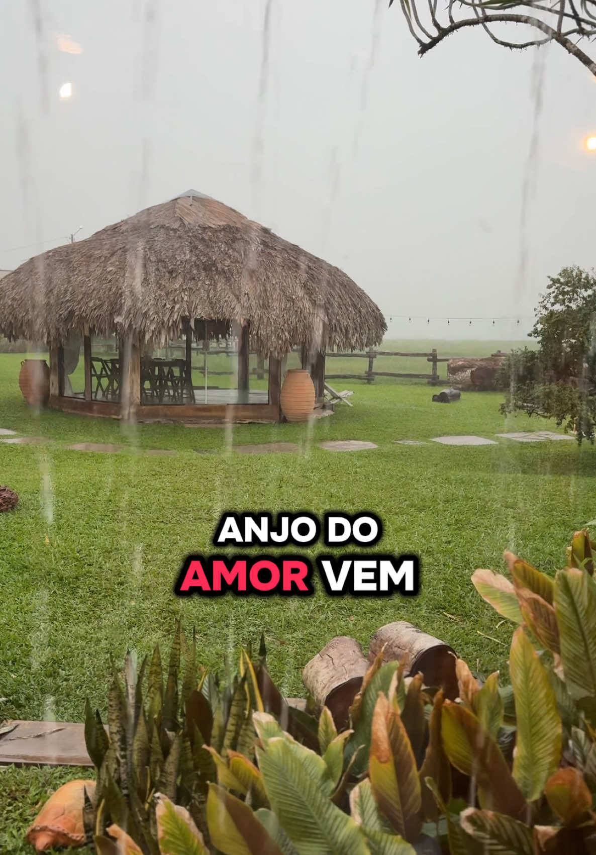 Anjo do amor, vem me tirar toda essa dor Anjo do amor, traz minha paz e o que restou em mim Anjo do amor, meu coração já não está tão bem #rebecalindsay #anjodoamor #tecnomelody #melodymarcantes #tecnobrega 